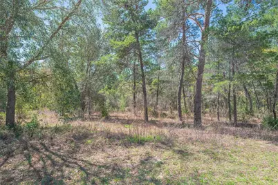 10 Heuchera Court E, Homosassa, FL 34446 - Photo 7