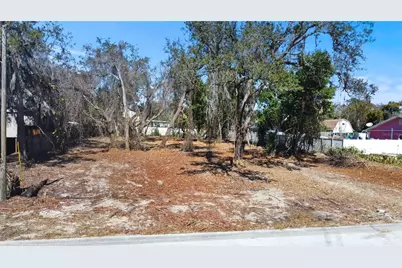 Robin Avenue, Palm Harbor, FL 34683 - Photo 5
