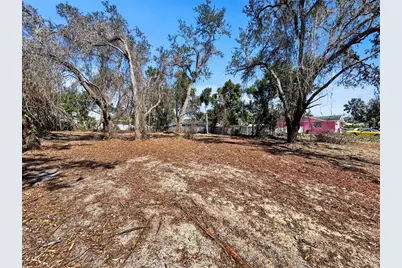Robin Avenue, Palm Harbor, FL 34683 - Photo 7