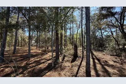 9119 N Alpinia Drive, Citrus Springs, FL 34434 - Photo 5