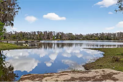 3663 Berger Road, Lutz, FL 33548 - Photo 73