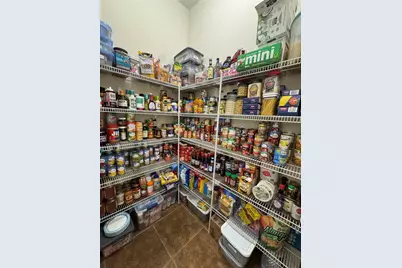 21001 Lake Vienna Drive, Land O Lakes, FL 34638 - Photo 21