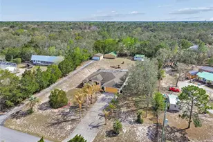16402 Fringe Tree Dr, Spring Hill, FL 34610 - Photo 85
