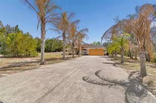 16402 Fringe Tree Dr, Spring Hill, FL 34610 - Photo 95