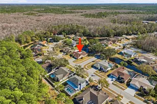 5860 Windermere Dr, Palm Harbor, FL 34685 - Photo 43