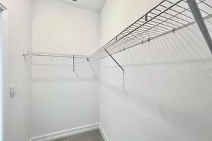 32303 Rosepine Blvd, Wesley Chapel, FL 33543 - Photo 65