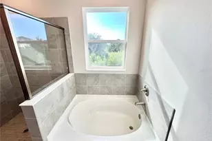 32303 Rosepine Blvd, Wesley Chapel, FL 33543 - Photo 57