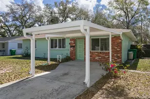 1013 E Fern St, Tampa, FL 33604 - Photo 7