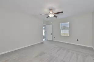 797 Olive Conch St, Ruskin, FL 33570 - Photo 19