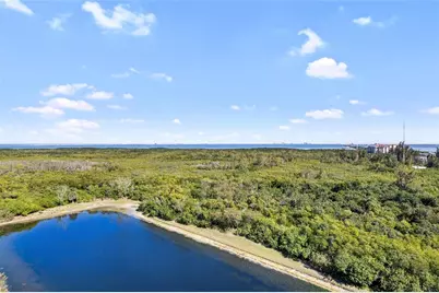 10851 Mangrove Cay Lane NE #1112, Saint Petersburg, FL 33716 - Photo 35