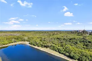 10851 Mangrove Cay Ln NE, Saint Petersburg, FL 33716 - Photo 35