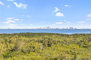 10851 Mangrove Cay Ln NE, Saint Petersburg, FL 33716 - Photo 49
