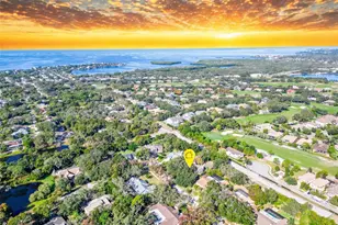 1351 Willow Brk Dr, Palm Harbor, FL 34683 - Photo 47