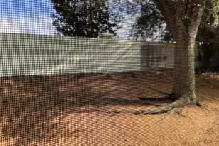 9730 White Barn Way, Riverview, FL 33569 - Photo 7