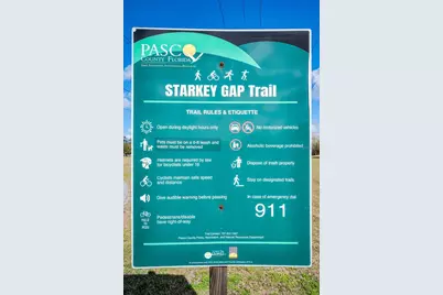 9736 Trumpet Vine Loop, Trinity, FL 34655 - Photo 35