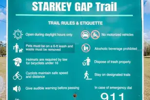 9736 Trumpet Vine Loop, Trinity, FL 34655 - Photo 35