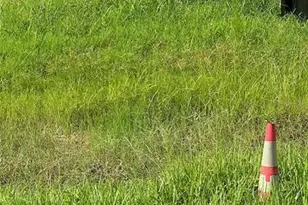 6813 Lyman Ave, Tampa, FL 33610 - Photo 1