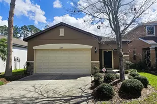 6302 Magnolia Park Blvd, Riverview, FL 33578 - Photo 1