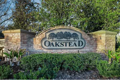 3305 Sheehan Drive, Land O Lakes, FL 34638 - Photo 61