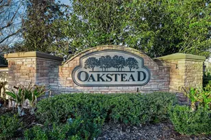 3305 Sheehan Dr, Land O Lakes, FL 34638 - Photo 61