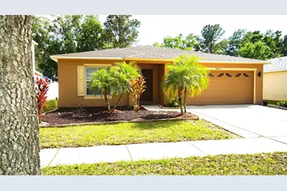 30950 Mandolin Cay Avenue, Wesley Chapel, FL 33543 - Photo 1