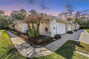 4425 Connery Ct, Palm Harbor, FL 34685 - Photo 1