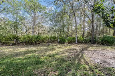 4425 Connery Court, Palm Harbor, FL 34685 - Photo 29