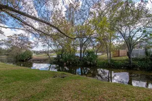 1732 Split Fork Dr, Oldsmar, FL 34677 - Photo 65