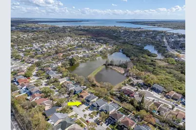 1732 Split Fork Drive, Oldsmar, FL 34677 - Photo 47