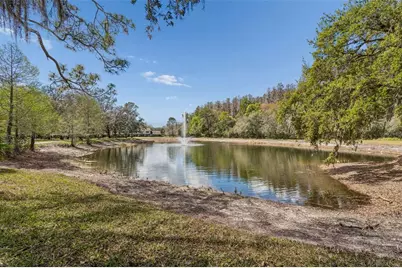 5100 Burchette Road #2900, Tampa, FL 33647 - Photo 25