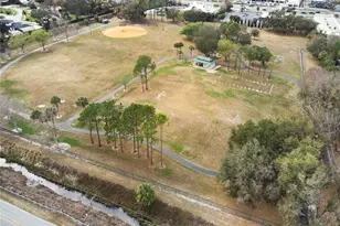 3312 Nakora Dr, Tampa, FL 33618 - Photo 71