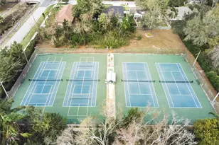 3312 Nakora Dr, Tampa, FL 33618 - Photo 67