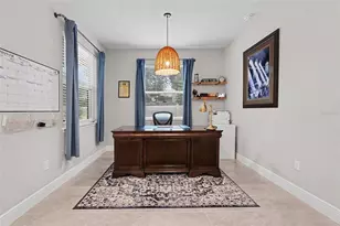 23122 Scaglione Dr, Lutz, FL 33549 - Photo 17