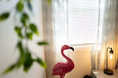 127 17th Avenue S, Saint Petersburg, FL 33701 - Photo 17