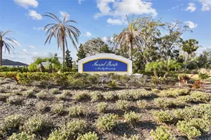 958 Signet Dr, Apollo Beach, FL 33572 - Photo 57