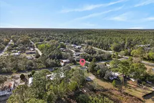 45806 Lake St, Paisley, FL 32767 - Photo 33