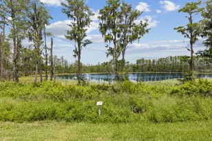 17936 Adrift Rd, Winter Garden, FL 34787 - Photo 33