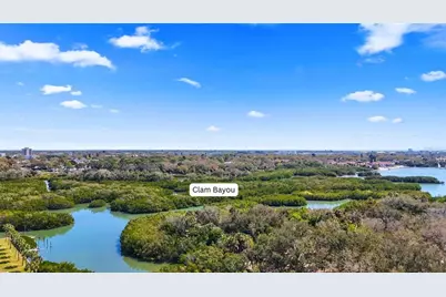 2706 46th Street S, Gulfport, FL 33711 - Photo 11