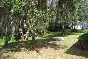 27353 Edenfield Dr, Wesley Chapel, FL 33544 - Photo 9