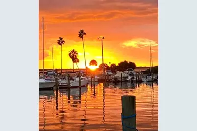 448 Orangewood Drive, Dunedin, FL 34698 - Photo 43