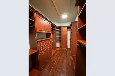 16235 Ivy Lake Drive, Odessa, FL 33556 - Photo 29