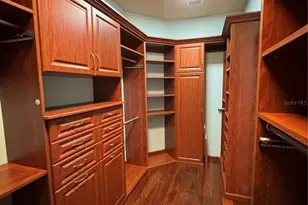 16235 Ivy Lake Dr, Odessa, FL 33556 - Photo 29