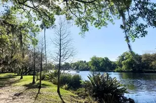 236 W North St, Tampa, FL 33604 - Photo 33