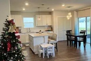 30555 Thunderbird Dr, Wesley Chapel, FL 33545 - Photo 3