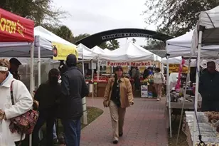 675 Broadway, Dunedin, FL 34698 - Photo 47