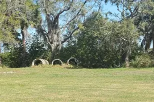 4858 Troydale Rd, Tampa, FL 33615 - Photo 5