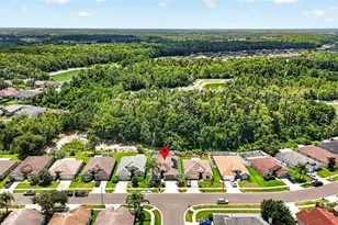 29454 Crossland Dr, Wesley Chapel, FL 33543 - Photo 61