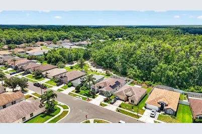 29454 Crossland Drive, Wesley Chapel, FL 33543 - Photo 55