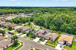 29454 Crossland Dr, Wesley Chapel, FL 33543 - Photo 55
