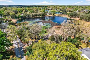 16330 Hanna Rd, Lutz, FL 33549 - Photo 55